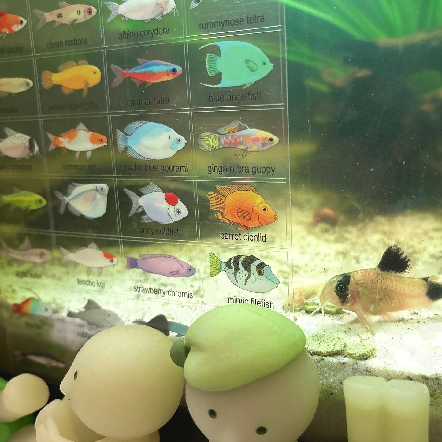 aquarium fish sticker sheet