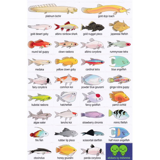 aquarium fish sticker sheet