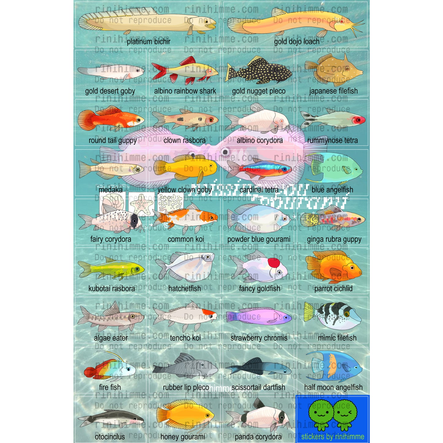 aquarium fish sticker sheet