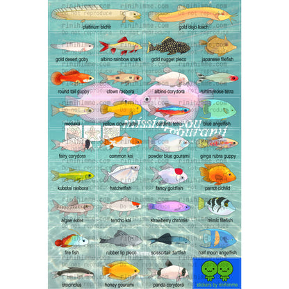 aquarium fish sticker sheet